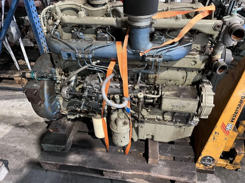 DAF DH 825 daf - MEERDERE OP VOORRAAD - Motor za Tovornjak: slika 5 DAF DH 825 daf - MEERDERE OP VOORRAAD - Motor za Tovornjak: slika 5