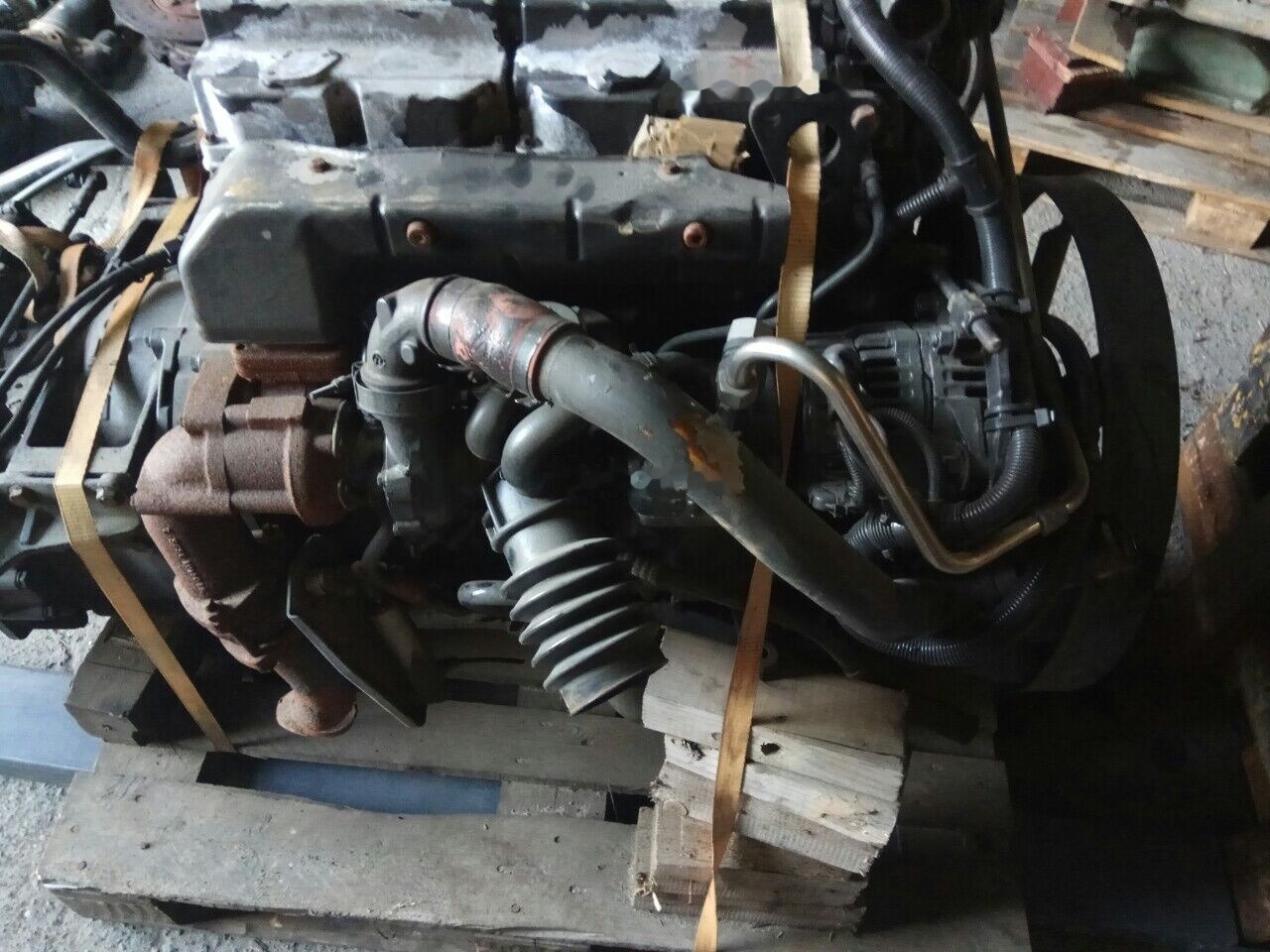 MAN D0834LFL03 D0834LFL01 MAN tgl l2000 - Motor za Tovornjak: slika 5 MAN D0834LFL03 D0834LFL01 MAN tgl l2000 - Motor za Tovornjak: slika 5