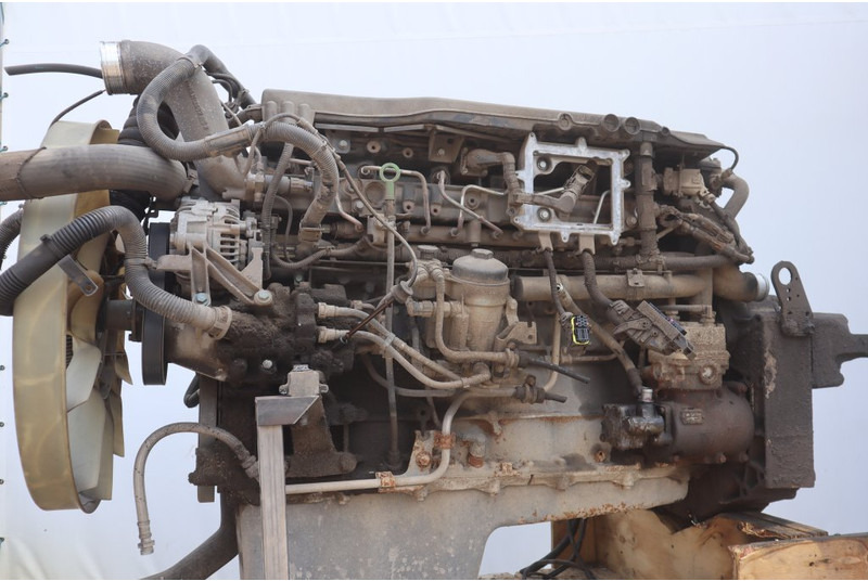 MAN D2066LF42 EURO5 360 PS + NOK - Motor za Tovornjak: slika 1 MAN D2066LF42 EURO5 360 PS + NOK - Motor za Tovornjak: slika 1