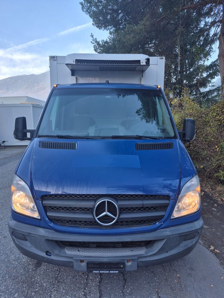 Mercedes-Benz 316 CDI, TRE-3000 Kühler, -20C, Ladebordwand - Hladilno vozilo: slika 2 Mercedes-Benz 316 CDI, TRE-3000 Kühler, -20C, Ladebordwand - Hladilno vozilo: slika 2