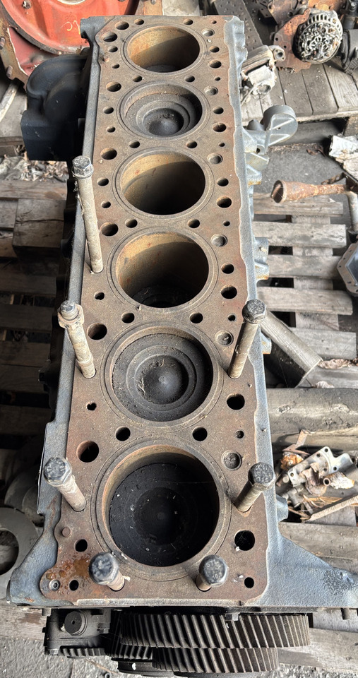 IVECO Stralis Cursor 10 THM Blok Wał Słupek Silnika Miska Olejowa 500334227 - Blok cilindra za Kmetijski stroj: slika 4 IVECO Stralis Cursor 10 THM Blok Wał Słupek Silnika Miska Olejowa 500334227 - Blok cilindra za Kmetijski stroj: slika 4