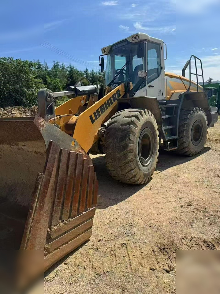 2020 LIEBHERR L550 - Kolesni nakladalec: slika 1 2020 LIEBHERR L550 - Kolesni nakladalec: slika 1