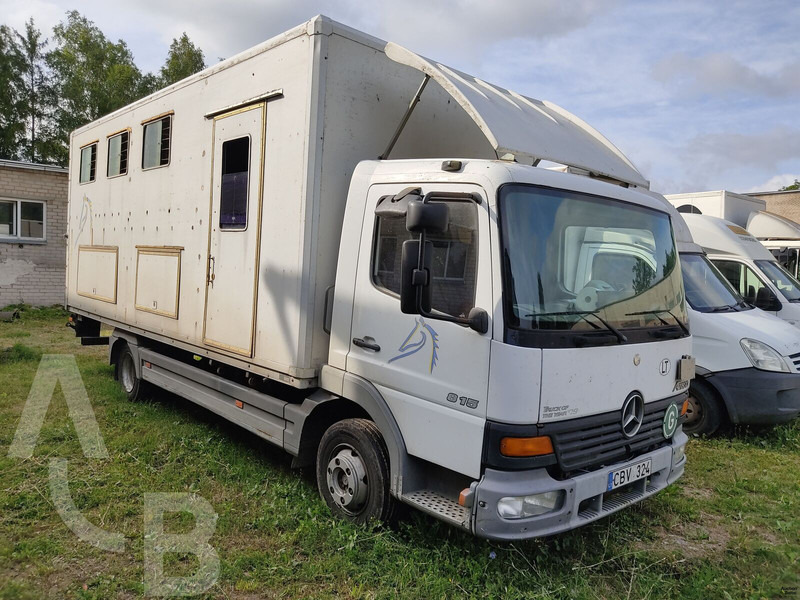 Mercedes-Benz 815 - Tovornjak za prevoz konj: slika 1 Mercedes-Benz 815 - Tovornjak za prevoz konj: slika 1