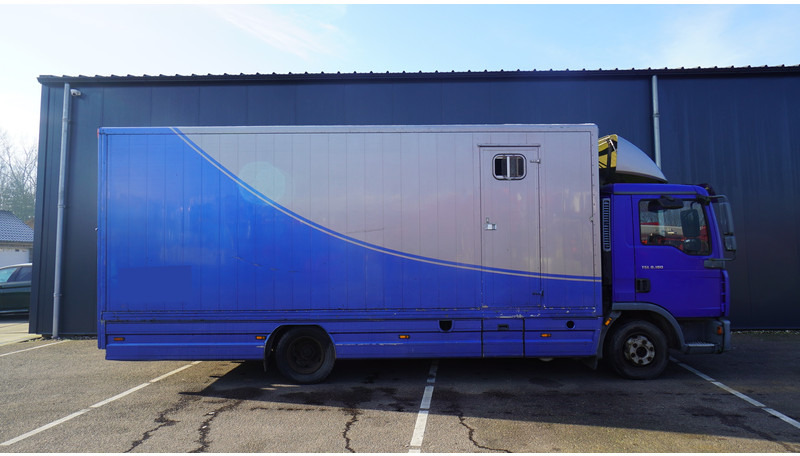 MAN TGL 8.180 HORSE TRANPORT 515.000KM - Tovornjak za prevoz konj: slika 2 MAN TGL 8.180 HORSE TRANPORT 515.000KM - Tovornjak za prevoz konj: slika 2