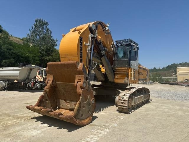 Liebherr R976 HD - Bager goseničar: slika 1 Liebherr R976 HD - Bager goseničar: slika 1