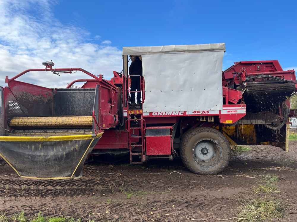 Grimme SE-260-UB - Kombajn: slika 5 Grimme SE-260-UB - Kombajn: slika 5