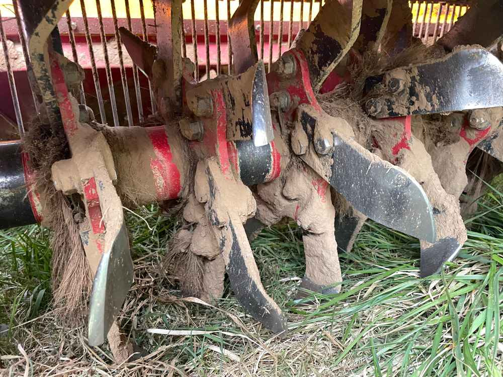 Grimme RSE-PLUS 300 - Kombajn: slika 5 Grimme RSE-PLUS 300 - Kombajn: slika 5