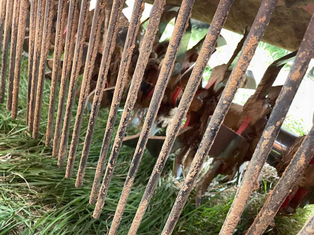 Grimme RSE-PLUS 300 - Kombajn: slika 2 Grimme RSE-PLUS 300 - Kombajn: slika 2