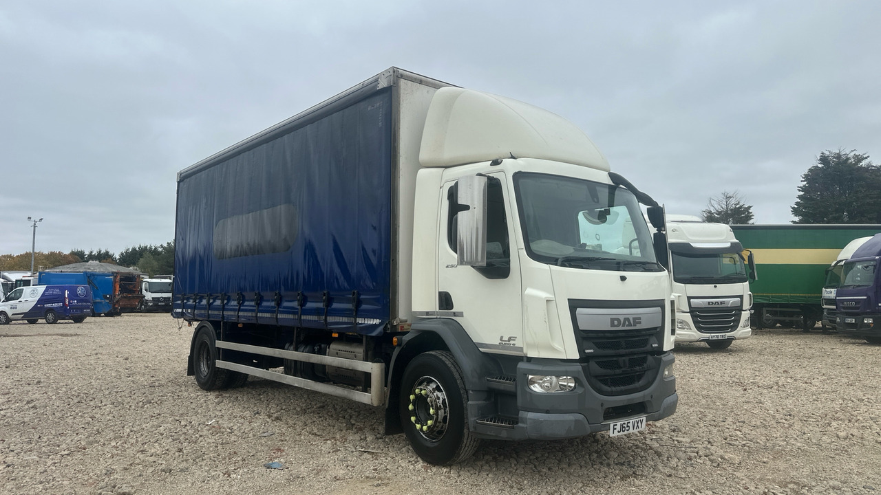 DAF LF 250 - Tovornjak s ponjavo: slika 1 DAF LF 250 - Tovornjak s ponjavo: slika 1