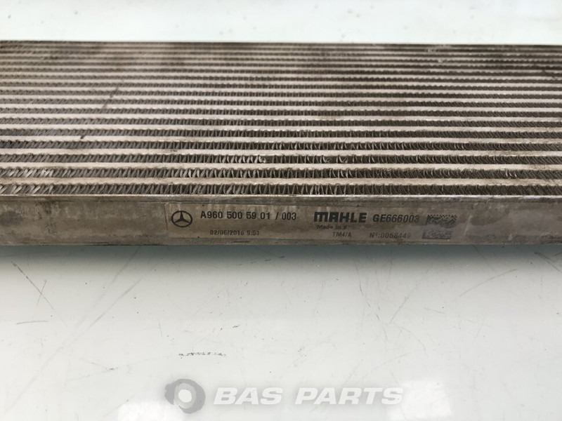 Mercedes-Benz Oliekoeler V-Bak Mercedes A 960 500 59 01 - Hladilnik olja za Tovornjak: slika 3 Mercedes-Benz Oliekoeler V-Bak Mercedes A 960 500 59 01 - Hladilnik olja za Tovornjak: slika 3