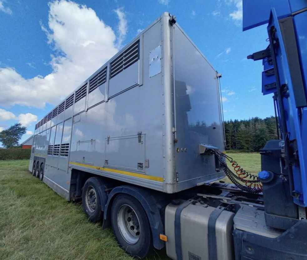 Gray and Adams Gadd3 / Works Great / Hydraulic / 2 Levels - Polprikolica za prevoz živine: slika 4 Gray and Adams Gadd3 / Works Great / Hydraulic / 2 Levels - Polprikolica za prevoz živine: slika 4