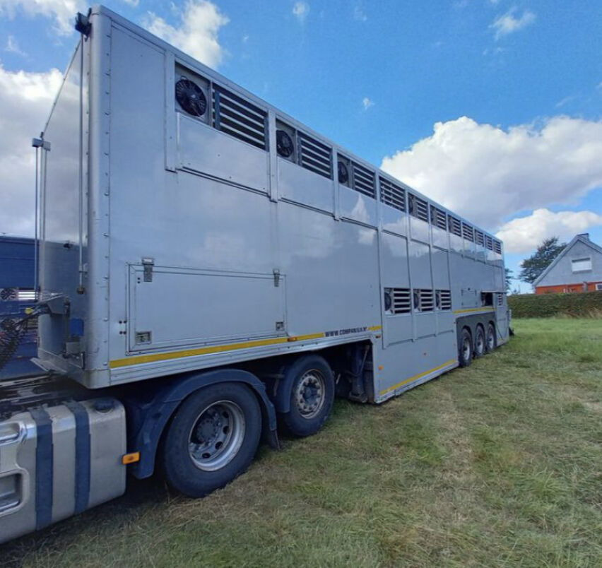 Gray and Adams Gray and Adams Gadd3 / Works Great / Hydraulic / 2 Levels - Polprikolica za prevoz živine: slika 5 Gray and Adams Gray and Adams Gadd3 / Works Great / Hydraulic / 2 Levels - Polprikolica za prevoz živine: slika 5