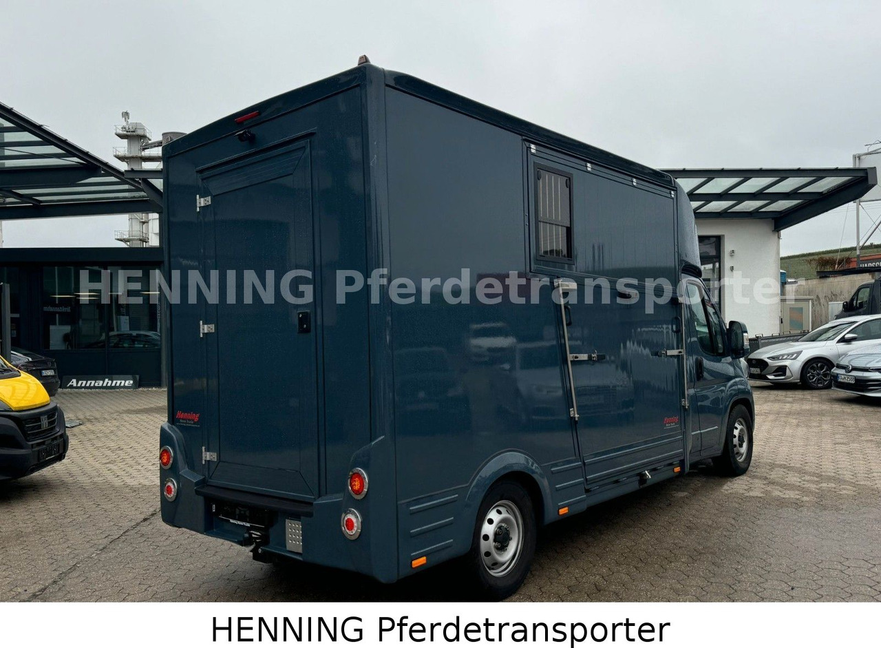 Fiat Ducato *AUTOMATIK* 3 - Sitzer - Tovornjak za prevoz živine: slika 3 Fiat Ducato *AUTOMATIK* 3 - Sitzer - Tovornjak za prevoz živine: slika 3
