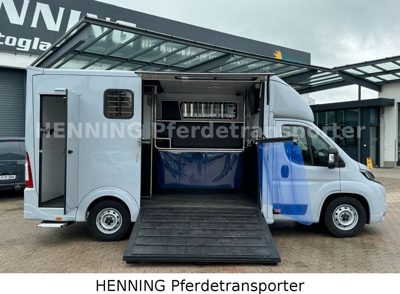 Peugeot Boxer 3 - Sitzer *GROSSE SATTELKAMMER* - Tovornjak za prevoz živine: slika 5 Peugeot Boxer 3 - Sitzer *GROSSE SATTELKAMMER* - Tovornjak za prevoz živine: slika 5