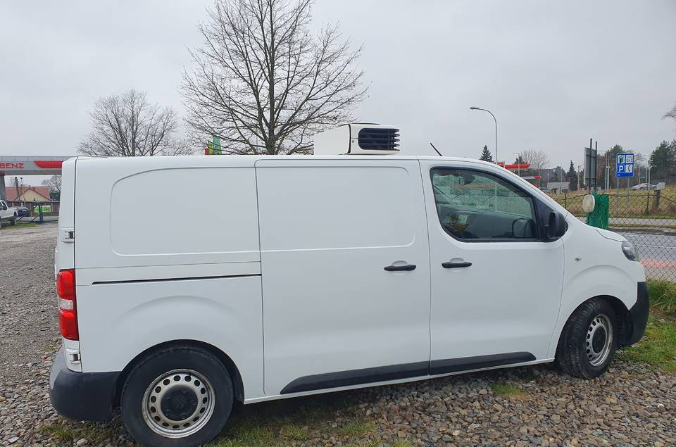 Citroen JUMPY CHLODNIA MROZNIA CARRIER+230V KLIMA EURO6 - Hladilno vozilo: slika 5 Citroen JUMPY CHLODNIA MROZNIA CARRIER+230V KLIMA EURO6 - Hladilno vozilo: slika 5