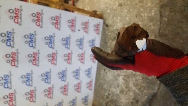 New Holland Fiat Case 60, M, Tm, Tm7000, Mxm S. 8360 4wd Propeller Shaft 5168036 - Kardanska gred za Traktor: slika 4 New Holland Fiat Case 60, M, Tm, Tm7000, Mxm S. 8360 4wd Propeller Shaft 5168036 - Kardanska gred za Traktor: slika 4