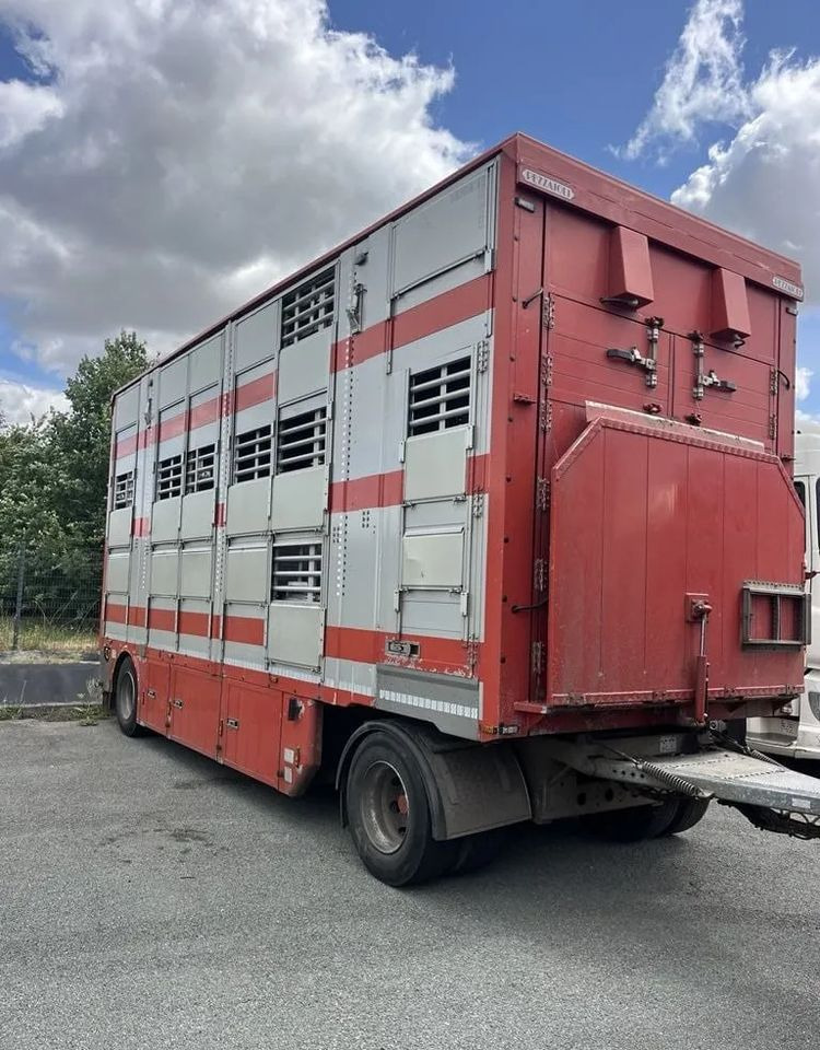 DAF XF 460 + Przyczepa Pezzaoli - 3X Trzoda, 2 X Bydło I 3 poziomy I Podnoszony dach I Hydroburta I Osie Skrętne I Poidła I Wentylatory I Pilot Manualny | Euro5 - Tovornjak za prevoz živine: slika 3 DAF XF 460 + Przyczepa Pezzaoli - 3X Trzoda, 2 X Bydło I 3 poziomy I Podnoszony dach I Hydroburta I Osie Skrętne I Poidła I Wentylatory I Pilot Manualny | Euro5 - Tovornjak za prevoz živine: slika 3