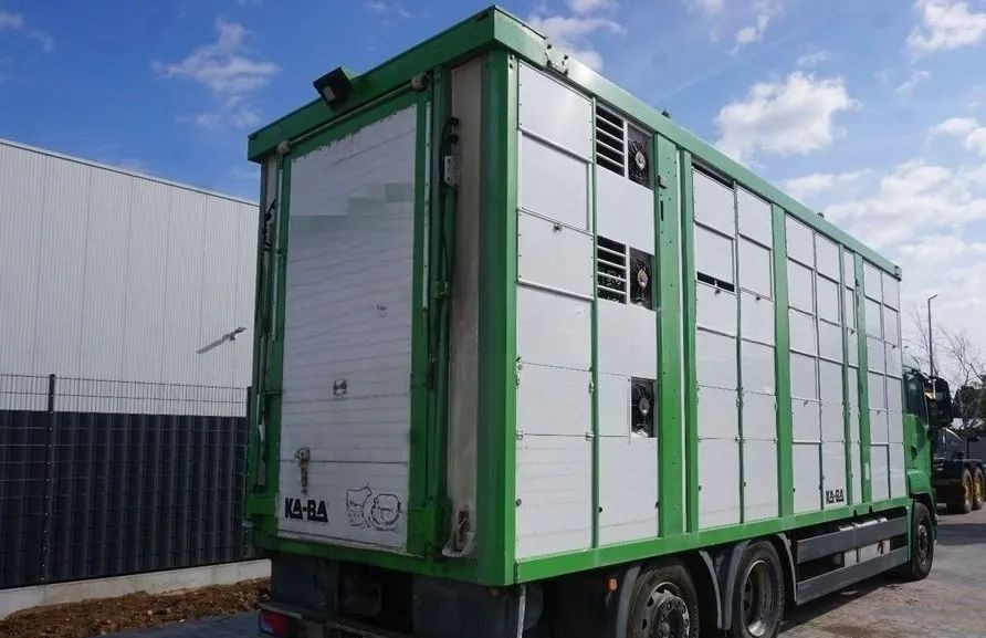 MAN TGS 26.440 ZABUDOWA KABA CAŁA ALUMINIOWA– samochód do transportu zwierząt/koni – 3 pokłady / EURO 5/6X2/PODNOSZONY DACH - Tovornjak za prevoz živine: slika 2 MAN TGS 26.440 ZABUDOWA KABA CAŁA ALUMINIOWA– samochód do transportu zwierząt/koni – 3 pokłady / EURO 5/6X2/PODNOSZONY DACH - Tovornjak za prevoz živine: slika 2