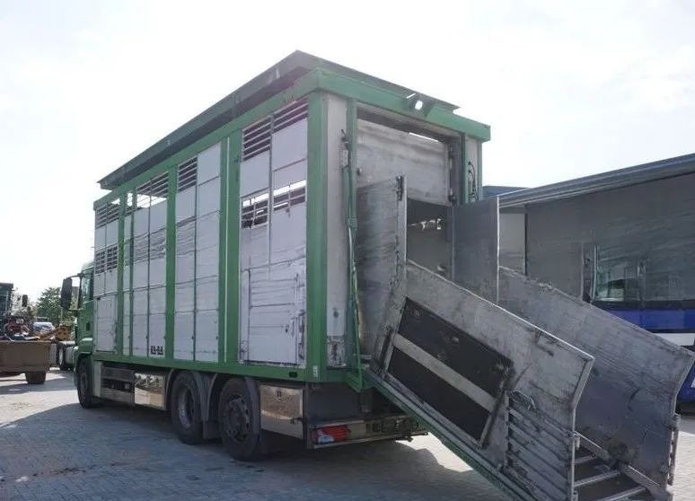 MAN TGS 26.440 ZABUDOWA KABA CAŁA ALUMINIOWA– samochód do transportu zwierząt/koni – 3 pokłady / EURO 5/6X2/PODNOSZONY DACH - Tovornjak za prevoz živine: slika 4 MAN TGS 26.440 ZABUDOWA KABA CAŁA ALUMINIOWA– samochód do transportu zwierząt/koni – 3 pokłady / EURO 5/6X2/PODNOSZONY DACH - Tovornjak za prevoz živine: slika 4