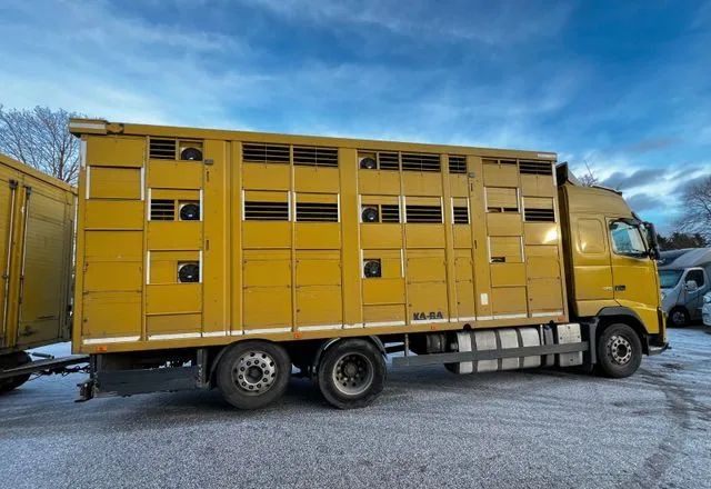 Volvo FH 420 • KABA • Transport Zwierząt 3xŚwinie/ 2xBydło 3-piętrowy • Euro 5 • Retarder • Oś podnoszona i skrętna - Tovornjak za prevoz živine: slika 2 Volvo FH 420 • KABA • Transport Zwierząt 3xŚwinie/ 2xBydło 3-piętrowy • Euro 5 • Retarder • Oś podnoszona i skrętna - Tovornjak za prevoz živine: slika 2