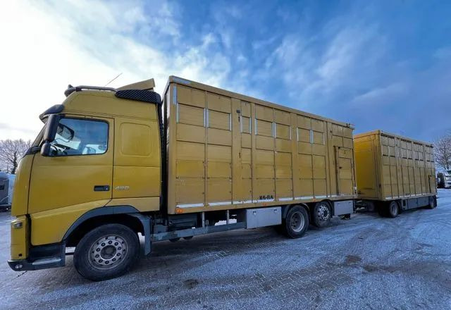 Volvo FH 420 • KABA • Transport Zwierząt 3xŚwinie/ 2xBydło 3-piętrowy • Euro 5 • Retarder • Oś podnoszona i skrętna - Tovornjak za prevoz živine: slika 1 Volvo FH 420 • KABA • Transport Zwierząt 3xŚwinie/ 2xBydło 3-piętrowy • Euro 5 • Retarder • Oś podnoszona i skrętna - Tovornjak za prevoz živine: slika 1