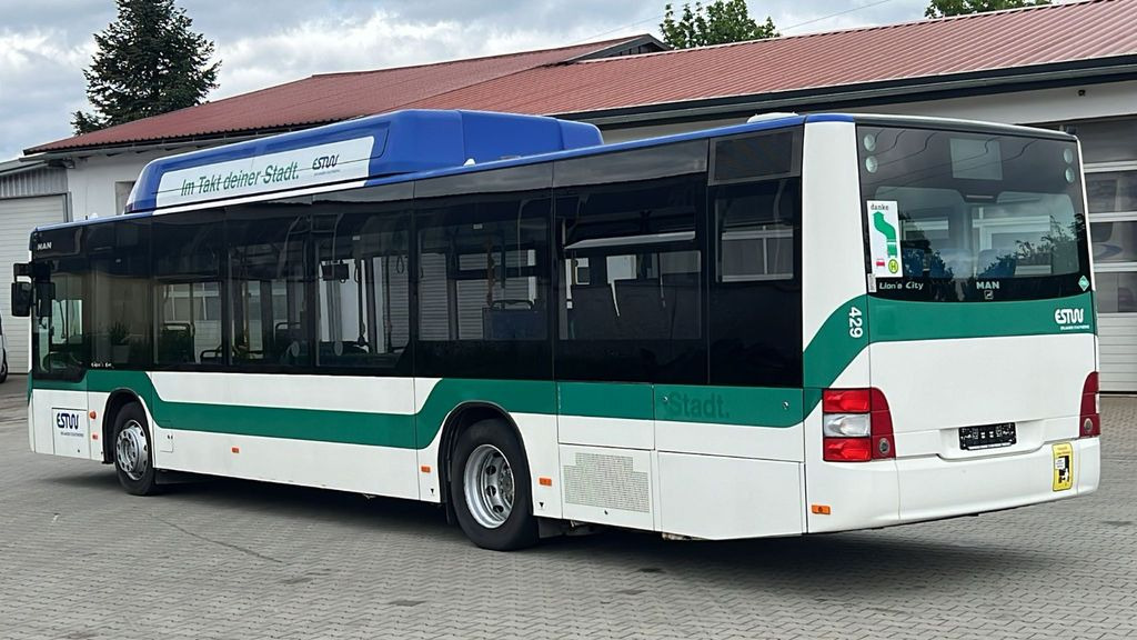 MAN A 21 CNG Euro 5 EEV MAN A 21 CNG Euro 5 EEV - Mestni avtobus: slika 5 MAN A 21 CNG Euro 5 EEV MAN A 21 CNG Euro 5 EEV - Mestni avtobus: slika 5