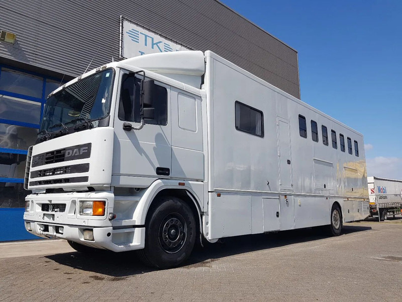 DAF 95.350 Paardenwagen met zitverblijf 7 paarden 7 horses - Tovornjak za prevoz konj: slika 1 DAF 95.350 Paardenwagen met zitverblijf 7 paarden 7 horses - Tovornjak za prevoz konj: slika 1