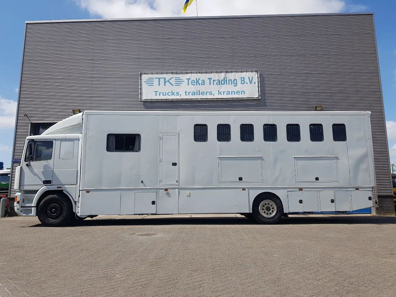 DAF 95.350 Paardenwagen met zitverblijf 7 paarden 7 horses - Tovornjak za prevoz konj: slika 3 DAF 95.350 Paardenwagen met zitverblijf 7 paarden 7 horses - Tovornjak za prevoz konj: slika 3