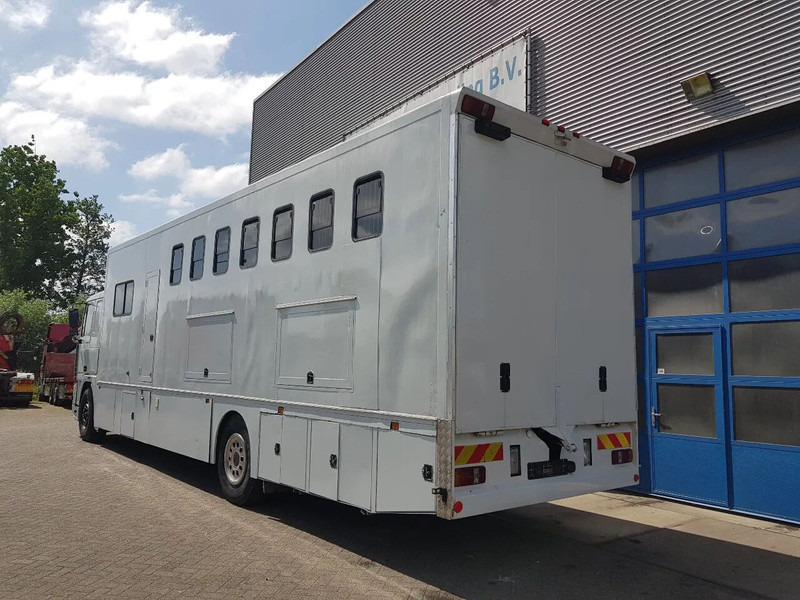 DAF 95.350 Paardenwagen met zitverblijf 7 paarden 7 horses - Tovornjak za prevoz konj: slika 4 DAF 95.350 Paardenwagen met zitverblijf 7 paarden 7 horses - Tovornjak za prevoz konj: slika 4