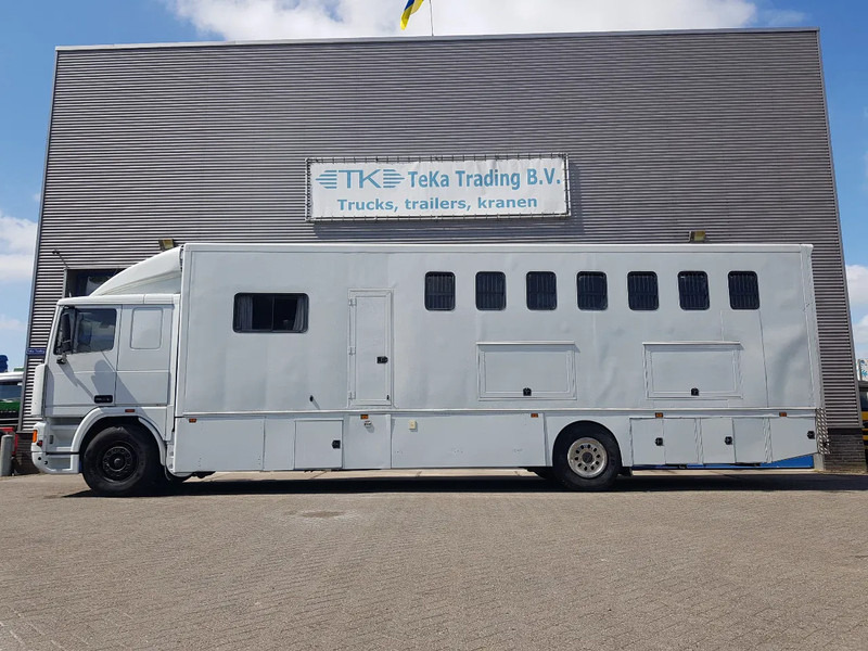 DAF 95.350 Paardenwagen met zitverblijf 7 paarden 7 horses - Tovornjak za prevoz konj: slika 3 DAF 95.350 Paardenwagen met zitverblijf 7 paarden 7 horses - Tovornjak za prevoz konj: slika 3