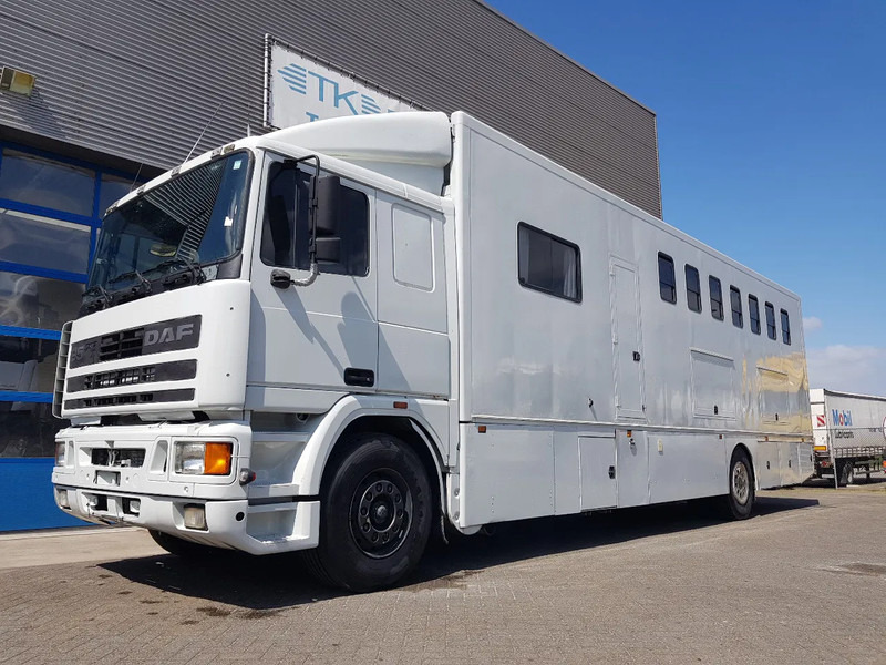 DAF 95.350 Paardenwagen met zitverblijf 7 paarden 7 horses - Tovornjak za prevoz konj: slika 1 DAF 95.350 Paardenwagen met zitverblijf 7 paarden 7 horses - Tovornjak za prevoz konj: slika 1