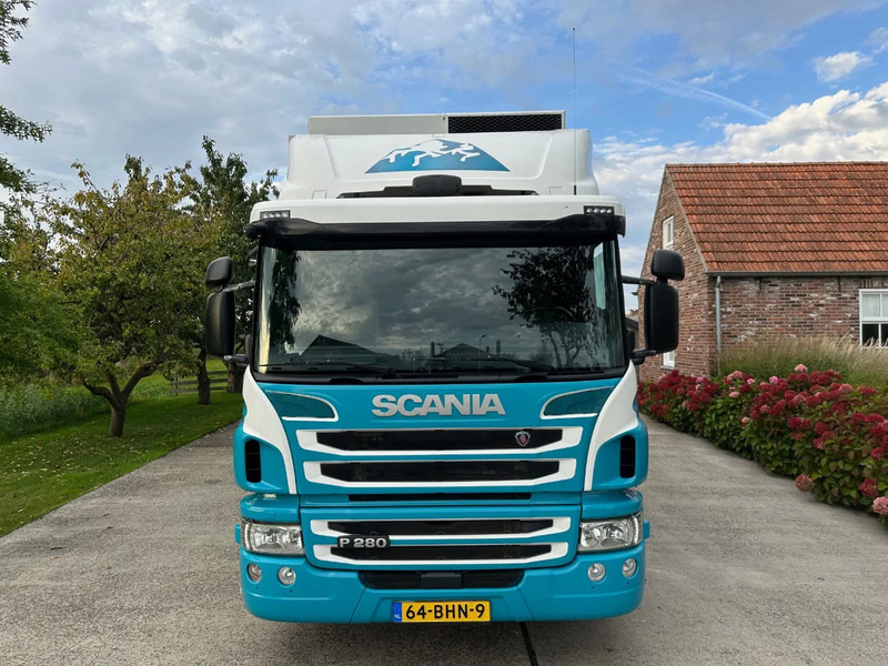 Scania P280 / NL TRUCK / FRIGOBLOCK FK 13(2019) / 2000kg LIFT / TOPCONDITION!! - Tovornjak hladilnik: slika 3 Scania P280 / NL TRUCK / FRIGOBLOCK FK 13(2019) / 2000kg LIFT / TOPCONDITION!! - Tovornjak hladilnik: slika 3