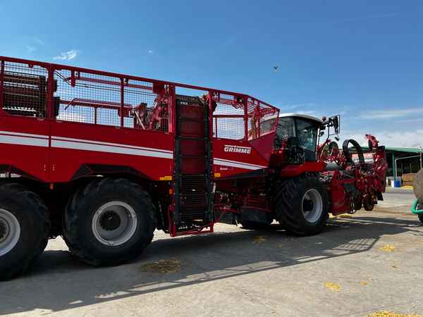 Grimme REXOR 6300 Platinum - Kombajn za peso: slika 1 Grimme REXOR 6300 Platinum - Kombajn za peso: slika 1