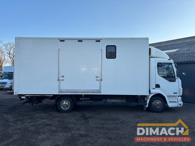 DAF FA LF45.150 4 paards, laadlift. Horsetruck NL truck - Tovornjak za prevoz konj: slika 4 DAF FA LF45.150 4 paards, laadlift. Horsetruck NL truck - Tovornjak za prevoz konj: slika 4