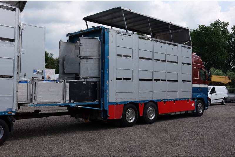 Volvo FH 13 480 6x2 3 stock livestock transport Cuppers - Tovornjak za prevoz živine: slika 5 Volvo FH 13 480 6x2 3 stock livestock transport Cuppers - Tovornjak za prevoz živine: slika 5