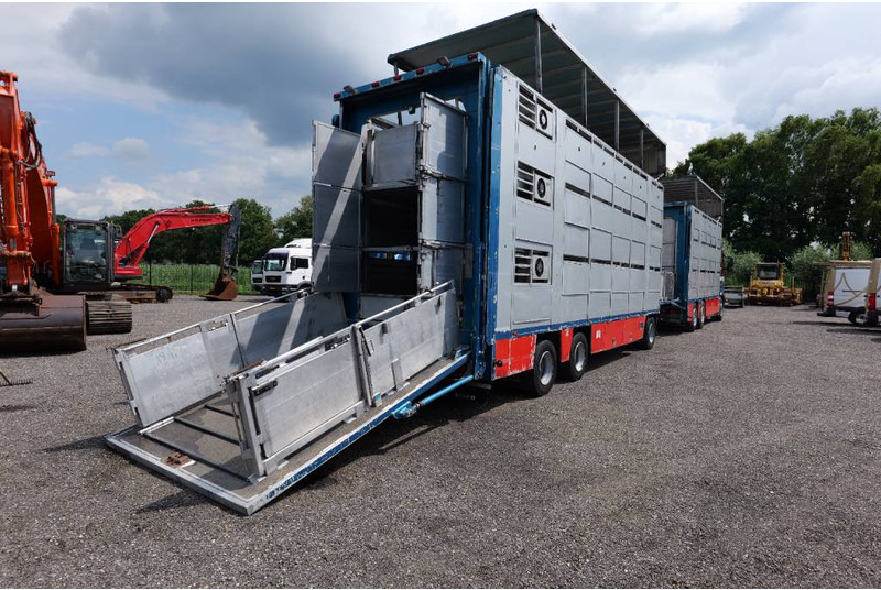 Volvo FH 13 480 6x2 3 stock livestock transport Cuppers - Tovornjak za prevoz živine: slika 3 Volvo FH 13 480 6x2 3 stock livestock transport Cuppers - Tovornjak za prevoz živine: slika 3