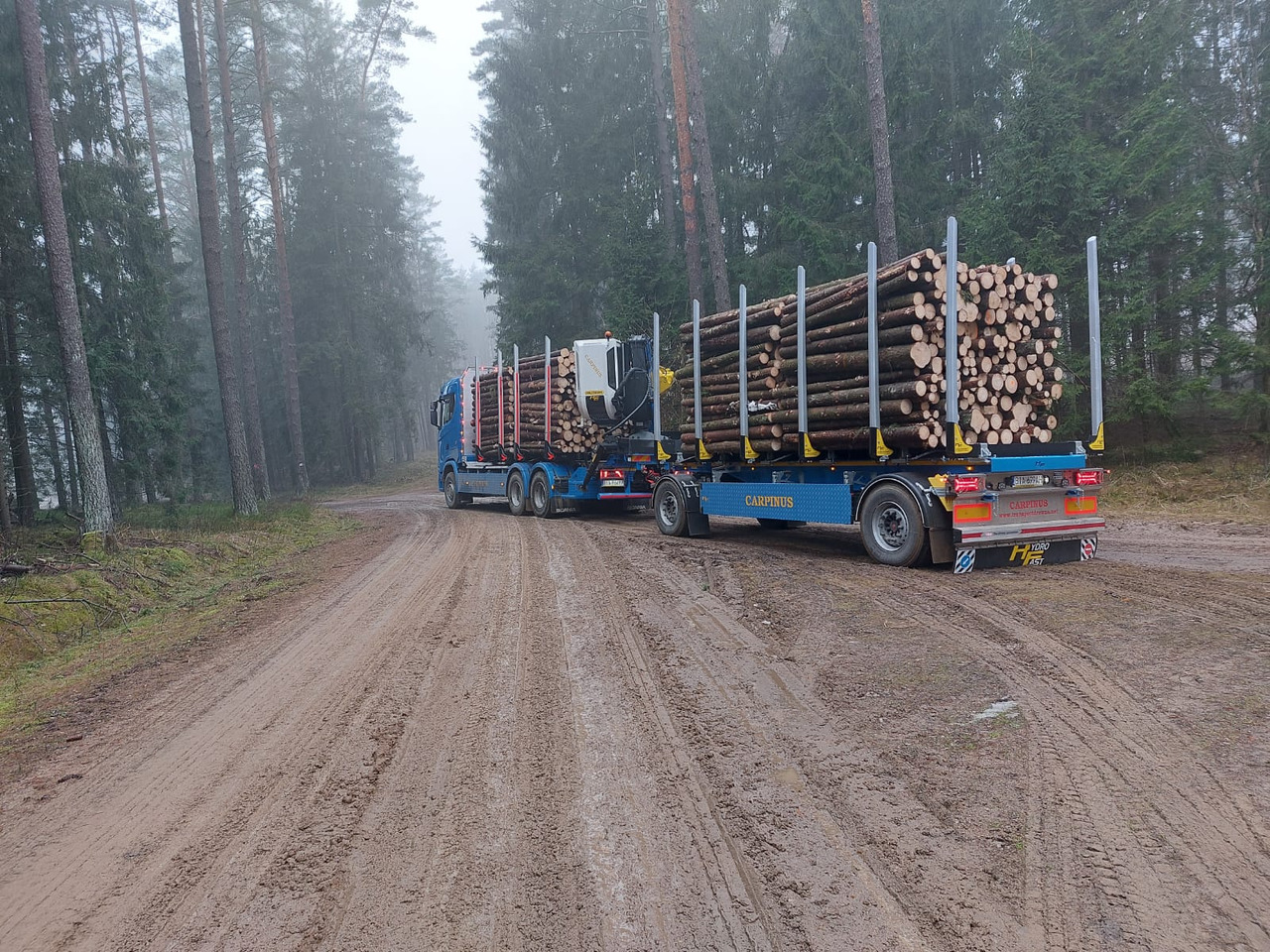 Hydrofast Przyczepa 2 osiowa do drewna stosowego HFP2/2-axle timber trailer HFP2 - Prikolica za prevoz lesa: slika 3 Hydrofast Przyczepa 2 osiowa do drewna stosowego HFP2/2-axle timber trailer HFP2 - Prikolica za prevoz lesa: slika 3