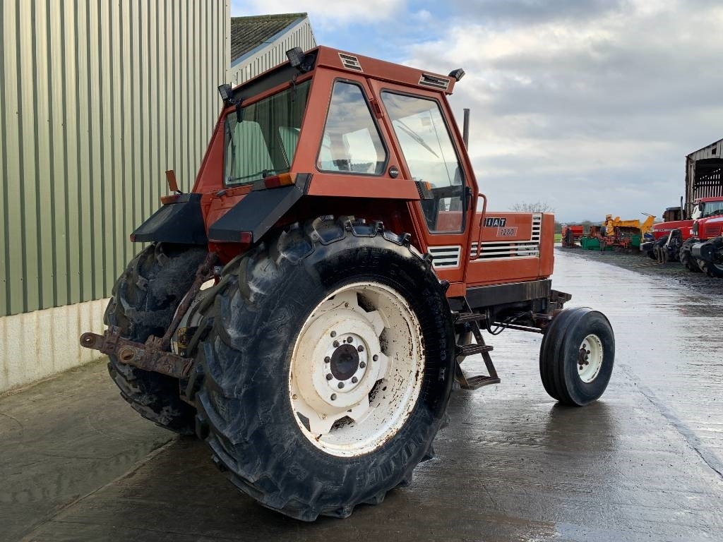 Fiat 1280 Turbo 2WD Tractor - Traktor: slika 3 Fiat 1280 Turbo 2WD Tractor - Traktor: slika 3