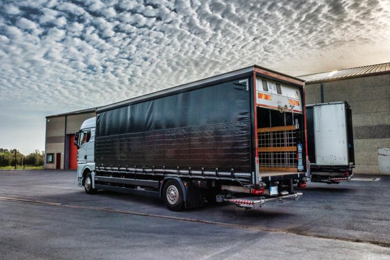 MAN TGX 18.400 XLX+HAYON - Tovornjak s ponjavo: slika 4 MAN TGX 18.400 XLX+HAYON - Tovornjak s ponjavo: slika 4