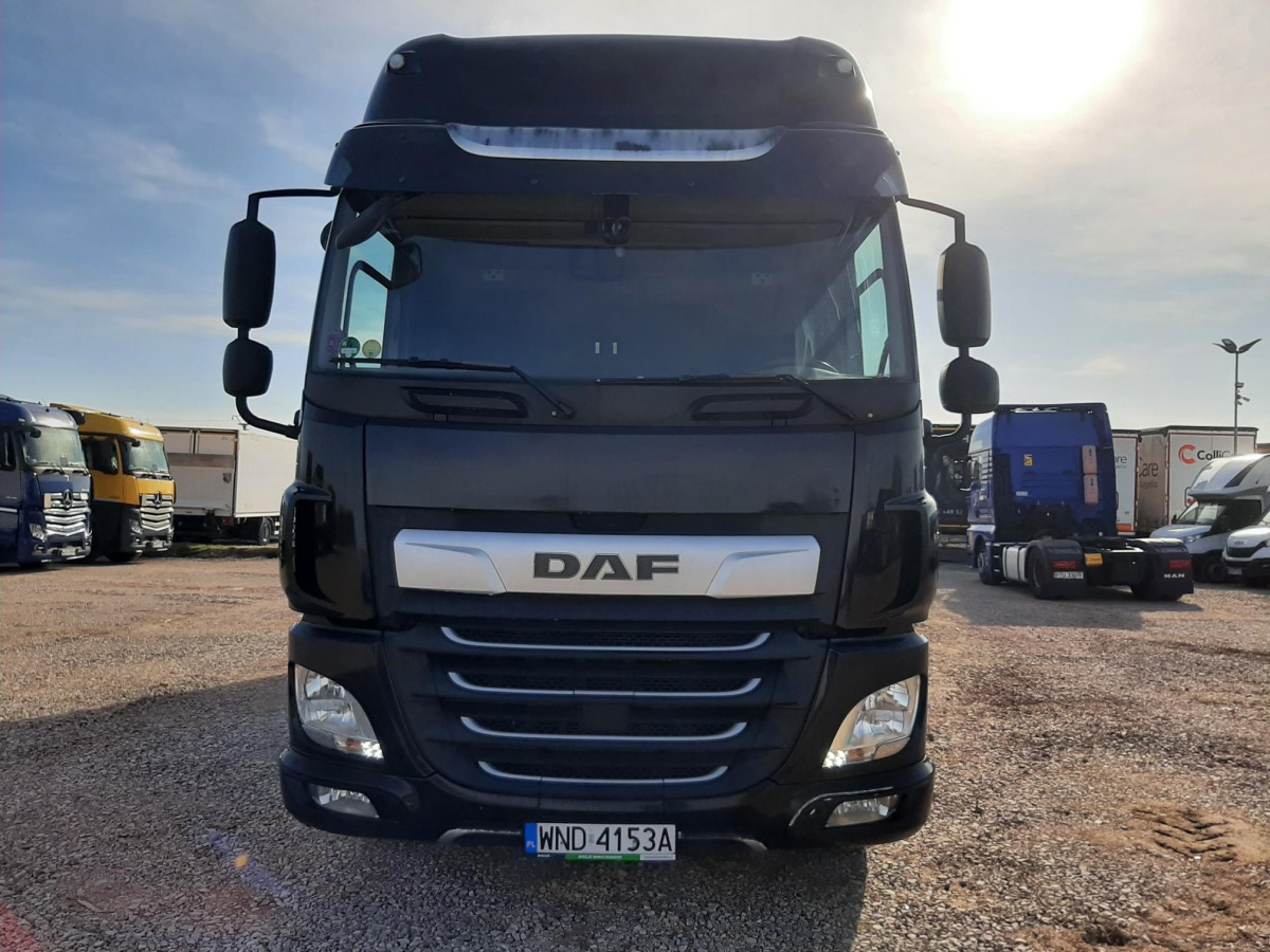 DAF CF 320 FA/ZSP SOLÓWKA - Tovornjak s ponjavo: slika 3 DAF CF 320 FA/ZSP SOLÓWKA - Tovornjak s ponjavo: slika 3