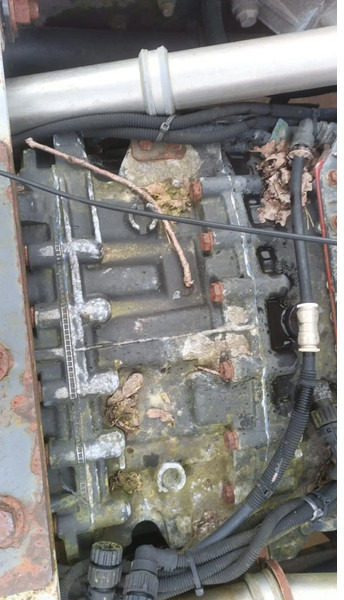 Renault Premium 420 Dci Engine + Automatic Gearbox - Motor za Tovornjak: slika 5 Renault Premium 420 Dci Engine + Automatic Gearbox - Motor za Tovornjak: slika 5