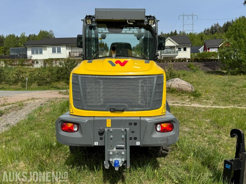 2023 Wacker Neuson WL70 hjullaster / Skuffe / Pallegafler - Kolesni nakladalec: slika 5 2023 Wacker Neuson WL70 hjullaster / Skuffe / Pallegafler - Kolesni nakladalec: slika 5