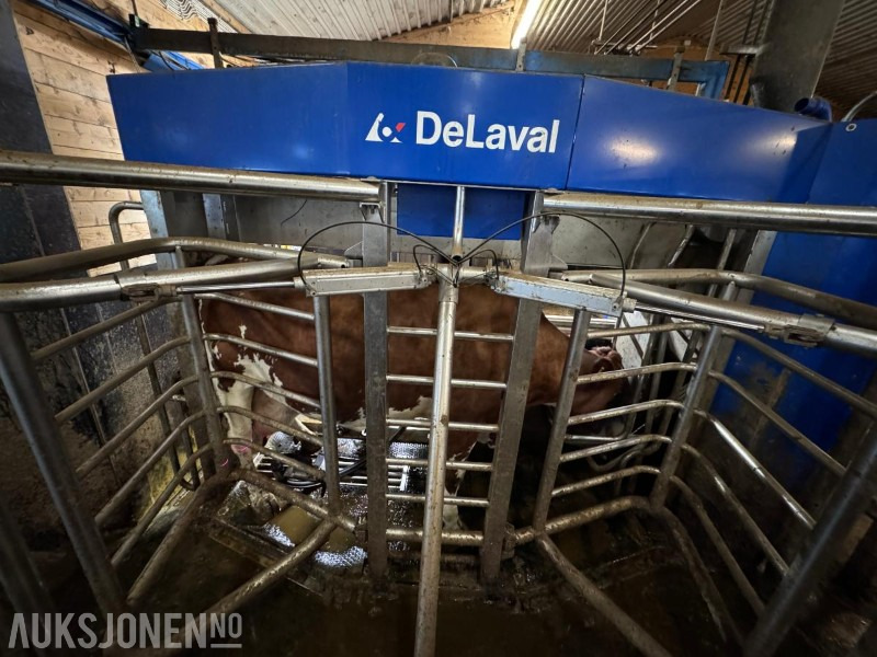 2013 DeLaval VMS melkerobot med 1 kraftfôrstasjon FSC40 - Høyre utgave - Steam - Innredning og grinder foran - Vakuumpumpe - Fortsatt i daglig drift - Kmetijski stroj: slika 5 2013 DeLaval VMS melkerobot med 1 kraftfôrstasjon FSC40 - Høyre utgave - Steam - Innredning og grinder foran - Vakuumpumpe - Fortsatt i daglig drift - Kmetijski stroj: slika 5