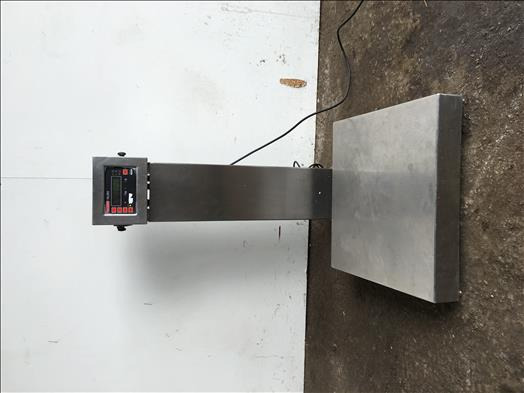 Avery Berkel HL265 tabletop platform scales - Oprema za predelavo živil: slika 1 Avery Berkel HL265 tabletop platform scales - Oprema za predelavo živil: slika 1