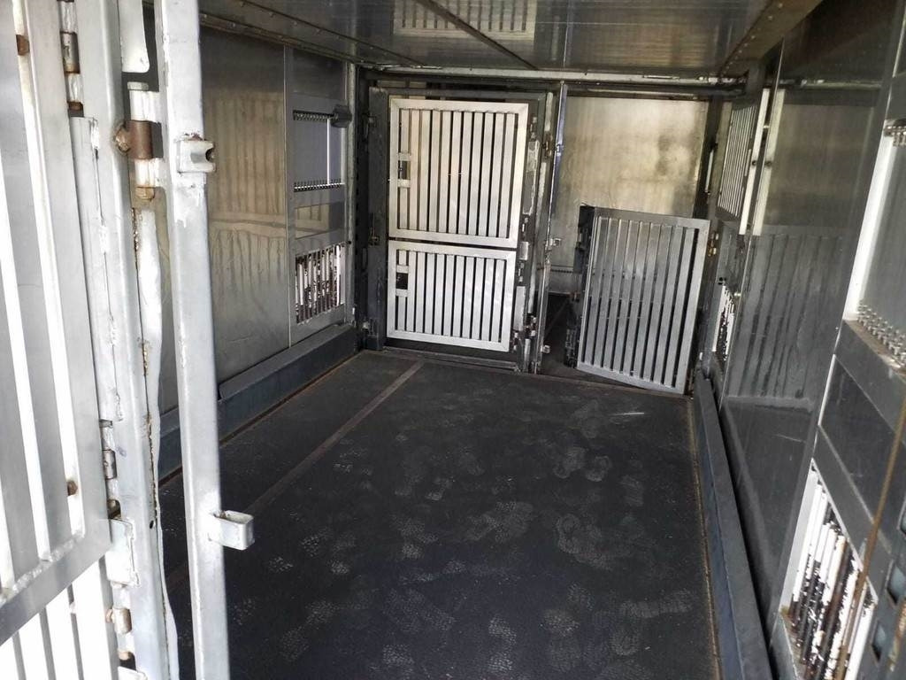 Tovornjak za prevoz živine MAN TGX 35.540 8X4 TRIDEM ANIMAL: slika 8