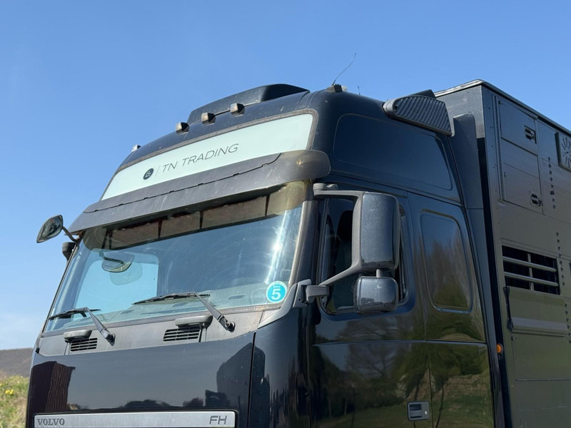 Volvo FH 13.540 STEERING, RETARDER, DOUBLE FLOOR, LIVE STOCK. - Tovornjak za prevoz živine: slika 5 Volvo FH 13.540 STEERING, RETARDER, DOUBLE FLOOR, LIVE STOCK. - Tovornjak za prevoz živine: slika 5