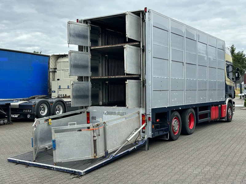 Scania R420 6x2 Topline / 3 Stock Animal Transport / Retarder / Euro 5 - Tovornjak za prevoz živine: slika 5 Scania R420 6x2 Topline / 3 Stock Animal Transport / Retarder / Euro 5 - Tovornjak za prevoz živine: slika 5