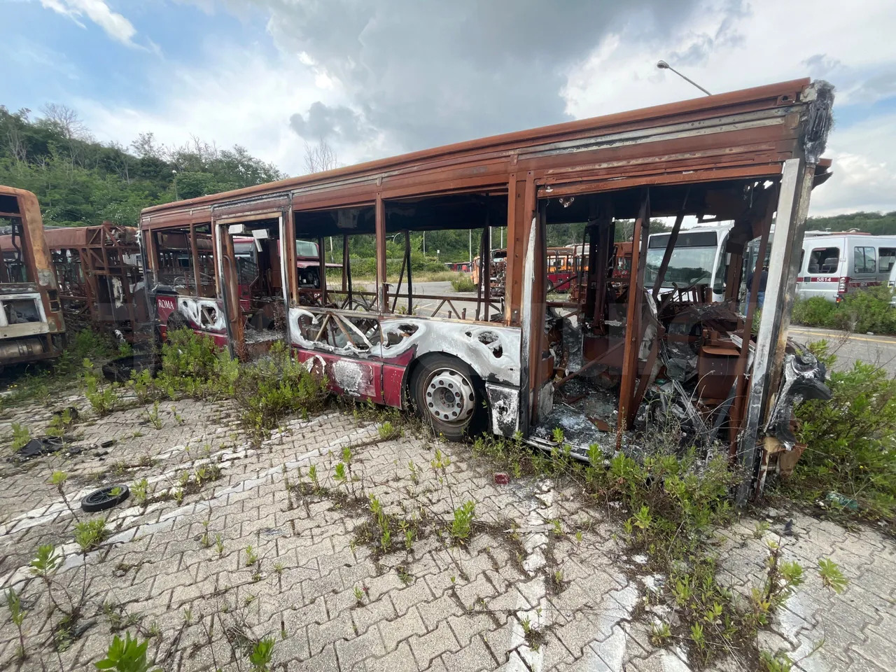 Bundle di 7 mezzi Iveco - Citelis Iveco - Citelis Iveco - Citelis Iveco - Citelis Iveco - Citelis Iveco - Citelis Iveco - Citelis - Mestni avtobus: slika 3 Bundle di 7 mezzi Iveco - Citelis Iveco - Citelis Iveco - Citelis Iveco - Citelis Iveco - Citelis Iveco - Citelis Iveco - Citelis - Mestni avtobus: slika 3