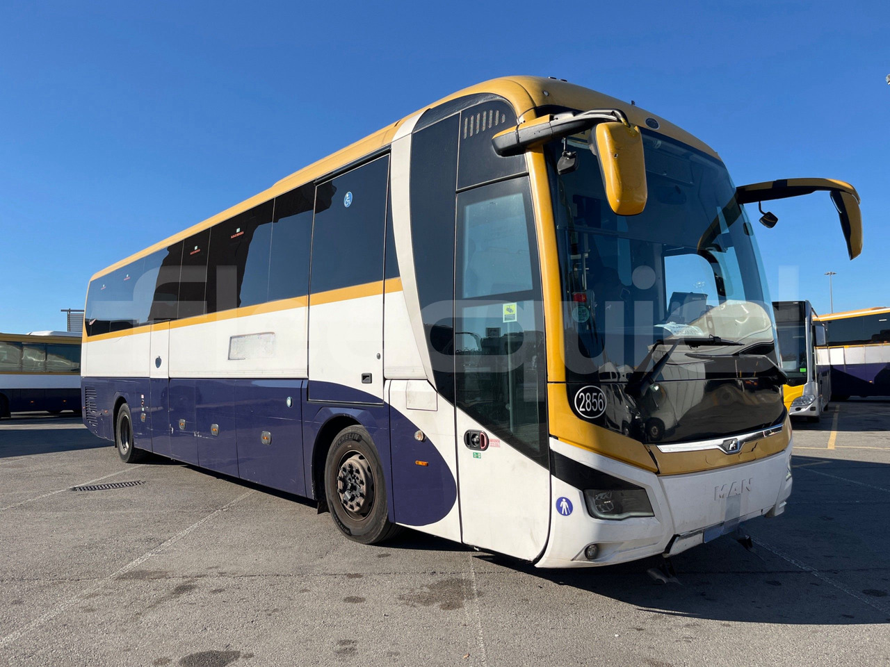 Man Lion's Coach - Potovalni avtobus: slika 1 Man Lion's Coach - Potovalni avtobus: slika 1