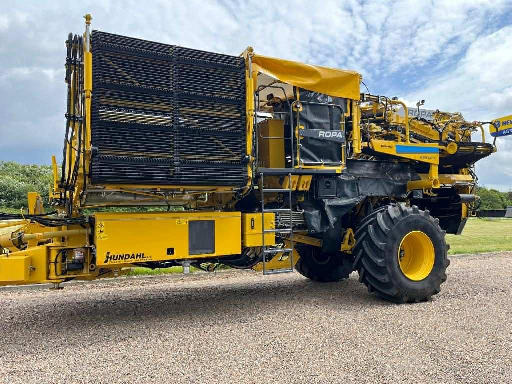 Ropa KEILER II L WD RK22 - Kombajn za krompir: slika 4 Ropa KEILER II L WD RK22 - Kombajn za krompir: slika 4